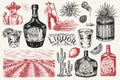 Liquor bottle, shot with lime, blue agave Plant, barrel and root ingredient, farmer and harvest. Engraved hand drawn Royalty Free Stock Photo