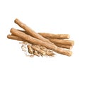 Liquorice root isolated dried sticks isolated digital art illustration. Licorice Glycyrrhiza glabra, sweet root