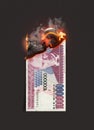 Lira Burning Cash Note