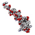 Liraglutide peptide drug molecule. Agonist of the glucagon-like peptide-1 receptor used in treatment of diabetes and obesity