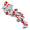 Liraglutide peptide drug molecule. Agonist of the glucagon-like peptide-1 receptor used in treatment of diabetes and obesity