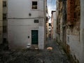 Lisbon. City streets. Portugal.