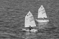 Lisbon, Portugal - April 03, 2010: yachts in blue sea. Children athletes participate in race on sunny day. Sea sailing