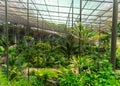 Lisbon, Portugal/Europe; 14/04/19: The Cold Greenhouse Estufa Fria in Lisbon, Portugal Royalty Free Stock Photo