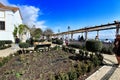 Santa Luzia viewpoint on a sunny day in Lisbon