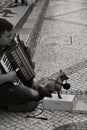 Beggar playing the accordion begging with his dog
