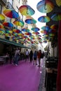 Multicolored umbrellas hanging on the Pink street in Lisbon