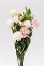 Lisianthus flower