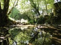 Lisine River in Serbia