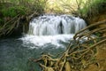 Lisine Serbian nature