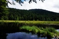 Lispach lake - peatland surrounded by hills and trees Royalty Free Stock Photo