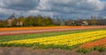 Dever castle in dutch city of Lisse with tulip fields of various colours in the foreground Royalty Free Stock Photo