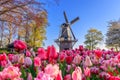 Lisse, Holland, Netherlands Royalty Free Stock Photo