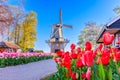 Lisse, Holland, Netherlands Royalty Free Stock Photo