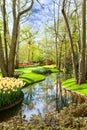 Lisse, Keukenhof (Netherlands)