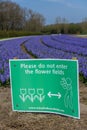 Dutch flower field in spring with warning sign no trespassers