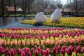 Lisse, Netherlands - April 20, 2013: Keukenhof