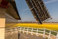 Lisse, Netherlands, April 2022. View of a field of daffodils from the balcony of a mill.