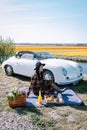 Lisse Netherlands ,. couple doing a road trip with a old vintage sport car White Porsche 356 Speedster, Dutch flower