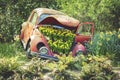 Lisse, Netherlands - May 6 2018: Blooming yellow Daffodil or Narcissus Jonquilla flowers inside abandoned old vintage car in Keuke