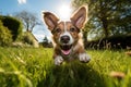 listening ears funny happy summer spring running pet puppy dog playful grass concept Generative AI Royalty Free Stock Photo