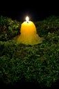 A lit candle on the forest dark moss. Part of Helloween decoration on black background. Royalty Free Stock Photo