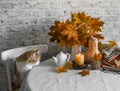 Lit candles, dry maple leaves, pumpkin, stack of books and red kitten - autumn still life interior decoration house. Cozy home Royalty Free Stock Photo