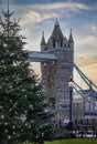 A lit christmas tree in front of the famous Tower Bridge of London during winter time Royalty Free Stock Photo