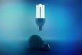 Lit energy efficient lightbulb over bulb