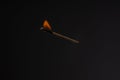 Lit falling match on a black background Royalty Free Stock Photo
