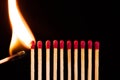 Lit match next to a row of unlit matches. Royalty Free Stock Photo