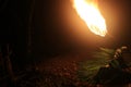 A lit torch above a bed of large green leaves used to catch ants in the amazon rainforest