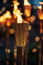 A lit torch is shown in a blurry image with a dark background Royalty Free Stock Photo