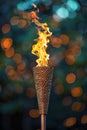 A lit torch is shown in a blurry image with a dark background Royalty Free Stock Photo