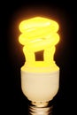 Lit up CFL on black Royalty Free Stock Photo