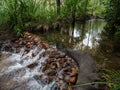 Litchfield small waterfall