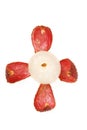 Litchi