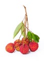 Litchi fruit