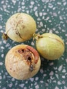 Symptoms of longan fruit borer injure on longan fruit in Viet Nam.