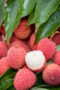 Litchi fruits