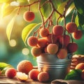 Litchi fruits on the tree in the garden at sunset.