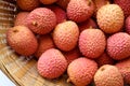 Litchi lichee lychee - Litchi chinensis Royalty Free Stock Photo