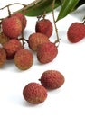 Litchi or Litchee, litchi sinensis, Exotic Fruits against White Background