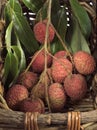 Litchi or Litchee, litchi sinensis, Exotic Fruits in basket