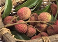 Litchi or Litchee, litchi sinensis, Exotic Fruits in basket