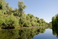 Litcov channel, Danube Delta, Romania.