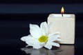 Lite candle with a daisy Royalty Free Stock Photo