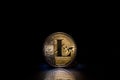 Litecoin LTC token, standing upright on a reflective background Royalty Free Stock Photo