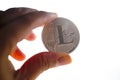 Litecoins coin