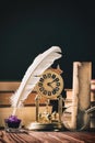Literature concept. Inkstand with feather near magnifying glass, old scroll and vintage clock